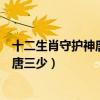 十二生肖守护神唐家三少全文阅读笔趣阁（十二生肖守护神唐三少）
