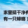 家里挺干净有一只蟑螂怎么处理（家里挺干净有一只蟑螂）