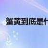 蟹黄到底是什么（蟹黄是什么样子的图片）