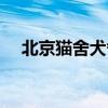 北京猫舍犬舍猫狗宠物市场（北京猫舍）
