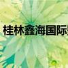 桂林鑫海国际影城官网（桂林鑫海国际影城）