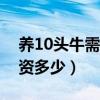 养10头牛需要投资多少钱（养十头牛需要投资多少）