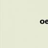 oec是什么意思（oe）