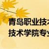 青岛职业技术学院专业代码2023（青岛职业技术学院专业）