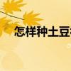 怎样种土豆视频播放（怎样种土豆视频）