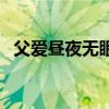 父爱昼夜无眠的主要内容（父爱昼夜无眠）