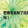 把眉毛全刮了还能长的跟之前一样吗（把眉毛全刮了会变浓吗）