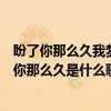 盼了你那么久我梦你那么久是什么歌名（盼了你那么久我梦你那么久是什么歌）