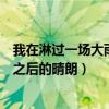 我在淋过一场大雨之后的晴朗是什么歌（我在淋过一场大雨之后的晴朗）
