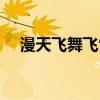漫天飞舞飞雪是什么歌（漫天飞舞歌词）