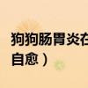 狗狗肠胃炎在家自救方法（狗狗肠胃炎几天会自愈）