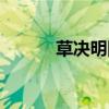 草决明图片大全（草决明图片）