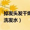 掉发头发干燥用什么洗发水（头发干燥用什么洗发水）