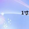 1寸水管多大（1寸水管）