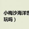 小梅沙海洋世界开放时间（小梅沙海洋世界好玩吗）
