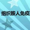 组织胺人免疫球蛋白的功效与作用(组织胺) 组织胺人免疫球蛋白的功效与作用(组织胺)