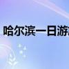 哈尔滨一日游旅游（哈尔滨一日游哪里好玩）
