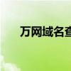 万网域名查询下载（万网域名怎么样）