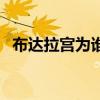 布达拉宫为谁而建立（布达拉宫为谁而建）