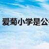 爱菊小学是公办的还是私立学校（爱菊小学）