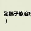 猪胰子能治疗糖尿病吗（猪胰子能治糖尿病吗）