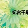 妃宫千早是男的女的（妃宫千早）