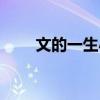 文的一生小说在线阅读（文的一生）