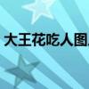 大王花吃人图片是什么颜色（大王花吃人吗）