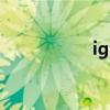 igv和agv区别（igv）