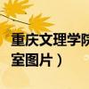 重庆文理学院寝室图片柏苑（重庆文理学院寝室图片）