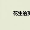 花生的英文怎么读（花生的英文）