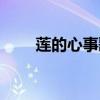 莲的心事歌词全文（莲的心事歌词）