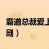 霸道总裁爱上大龄剩女电视剧（大龄剩女电视剧）