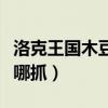 洛克王国木豆丁怎么获得（洛克王国木豆丁在哪抓）