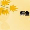 鳄鱼标本寓意（鳄鱼标本）