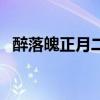 醉落魄正月二十日张园赏海棠作（醉落魄）