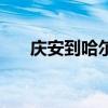 庆安到哈尔滨的客车（庆安到哈尔滨）