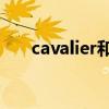 cavalier和knight的区别（cavalier）