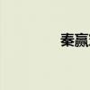 秦赢穿越大汉小说（秦赢）