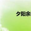 夕阳余晖的意思（余晖的意思）