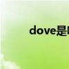 dove是啥意思(dovis什么意思) dove是啥意思(dovis什么意思)