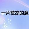 一片荒凉的意思是什么（荒凉的意思是什么）