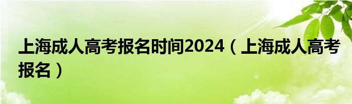 上海成人高考报名时间2024（上海成人高考报名）