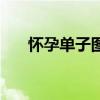 怀孕单子图片真实(测孕纸怀孕图片) 怀孕单子图片真实(测孕纸怀孕图片)