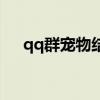 qq群宠物结婚玩法（qq宠物几级结婚）