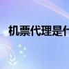 机票代理是什么（机票代理需要什么条件）