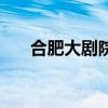 合肥大剧院近期演出表（合肥大剧院）