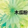 木瓜粉的作用与功效（木瓜粉）