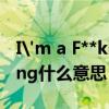 I'm a F**king Tomboy是什么意思（fucking什么意思）