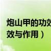 炮山甲的功效与作用及食用方法（炮山甲的功效与作用）